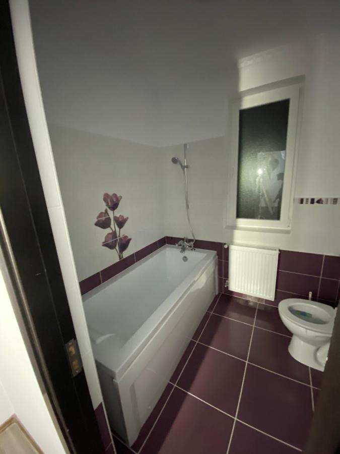 Luxury Apartment Satu Mare Exteriör bild