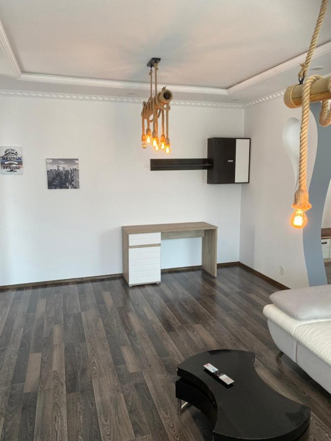 Luxury Apartment Satu Mare Exteriör bild
